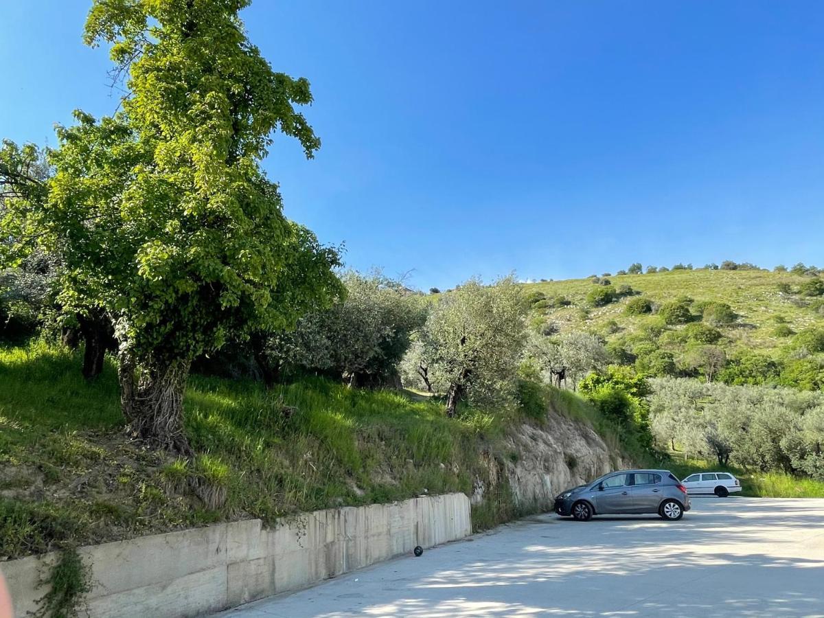 אנגני Agriturismo Torre Ercolana מראה חיצוני תמונה