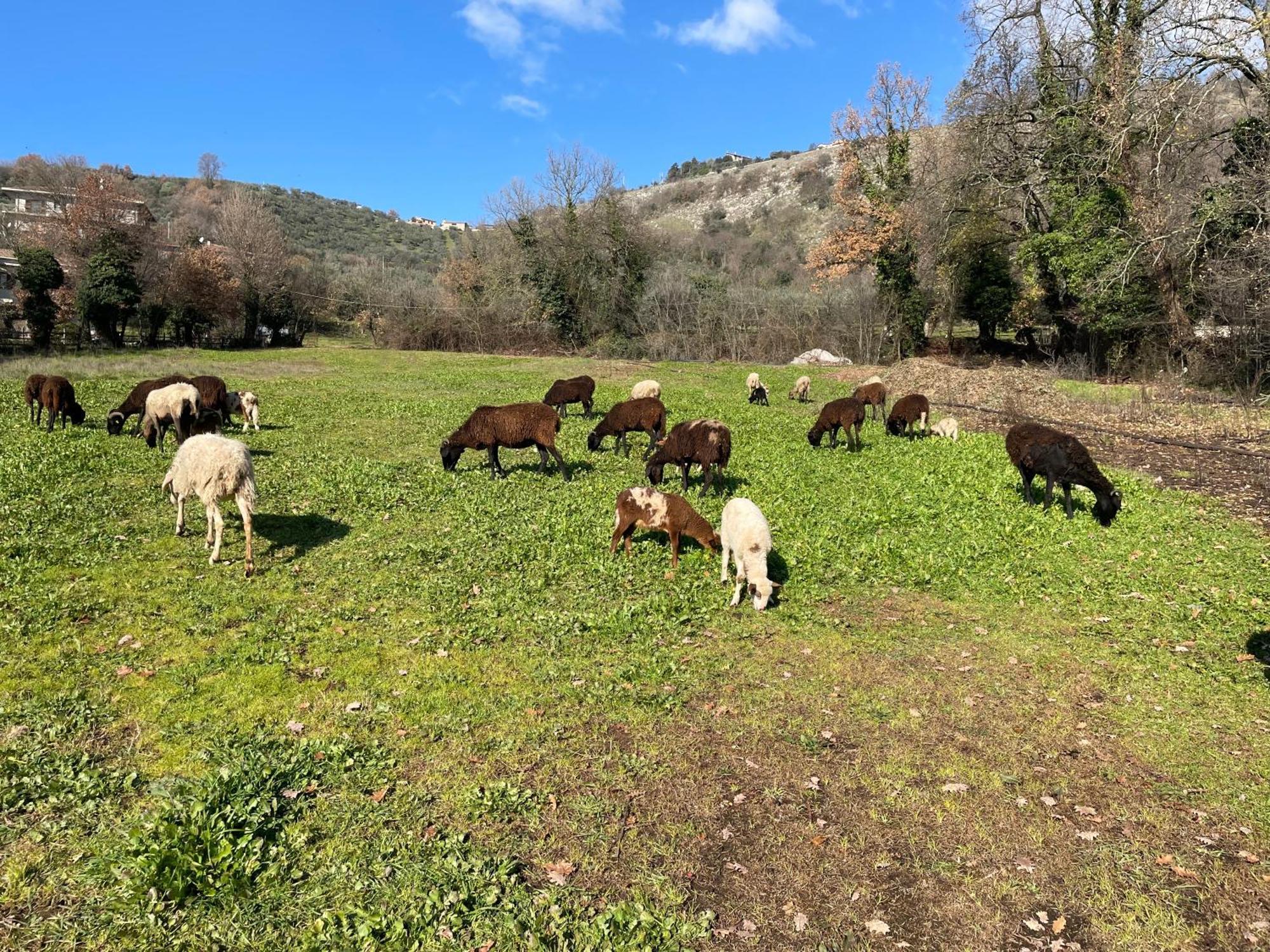 אנגני Agriturismo Torre Ercolana מראה חיצוני תמונה