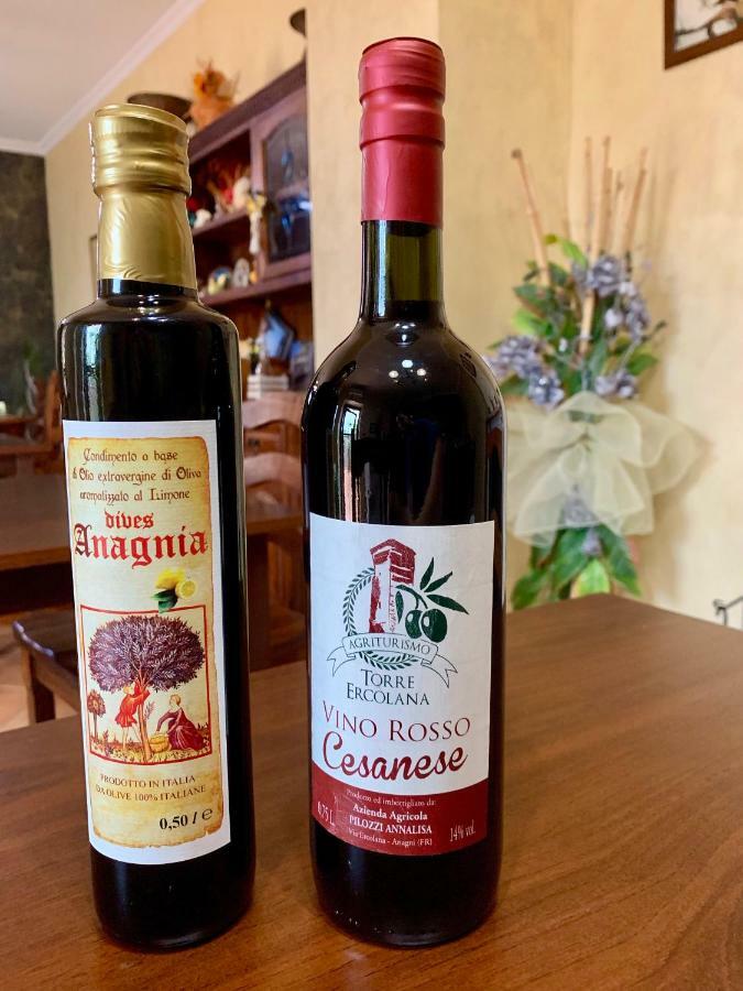 אנגני Agriturismo Torre Ercolana מראה חיצוני תמונה